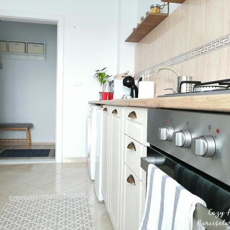 Cozy Apartment Narciselor Suceava Ipotesti  Exterior photo