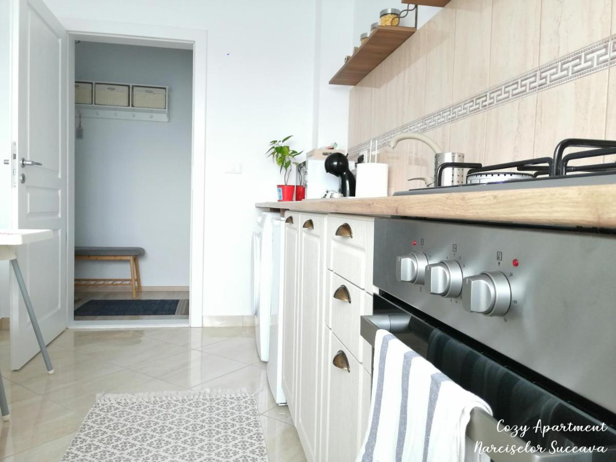 Cozy Apartment Narciselor Suceava Ipotesti  Exterior photo