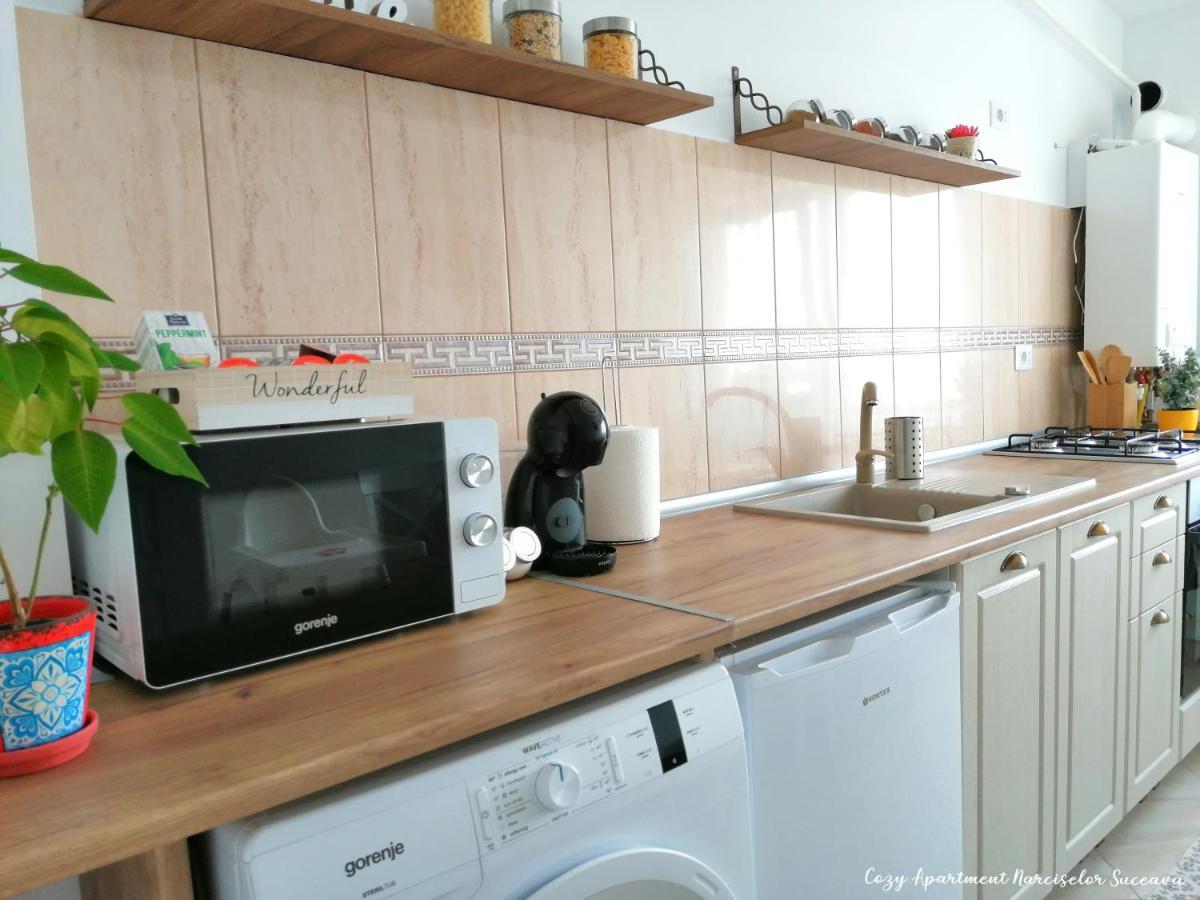 Cozy Apartment Narciselor Suceava Ipotesti  Exterior photo