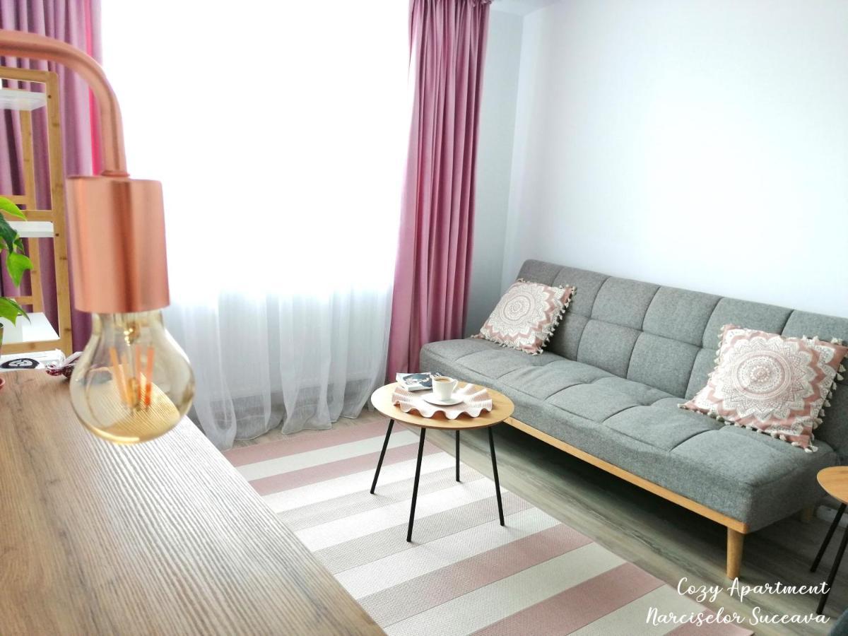 Cozy Apartment Narciselor Suceava Ipotesti  Exterior photo