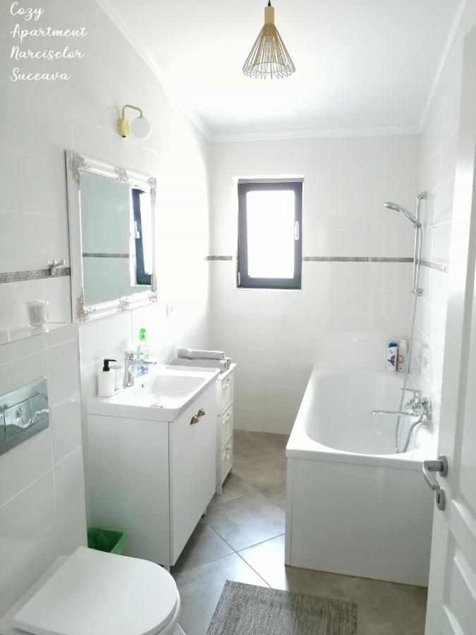 Cozy Apartment Narciselor Suceava Ipotesti  Exterior photo
