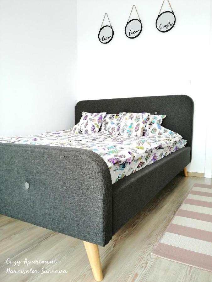 Cozy Apartment Narciselor Suceava Ipotesti  Exterior photo