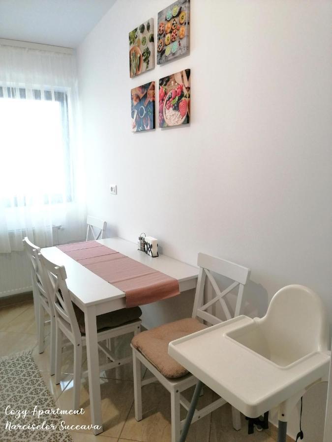 Cozy Apartment Narciselor Suceava Ipotesti  Exterior photo